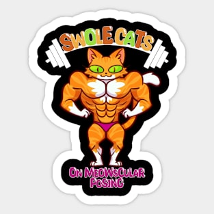 SWOLE ORANGECAT Sticker